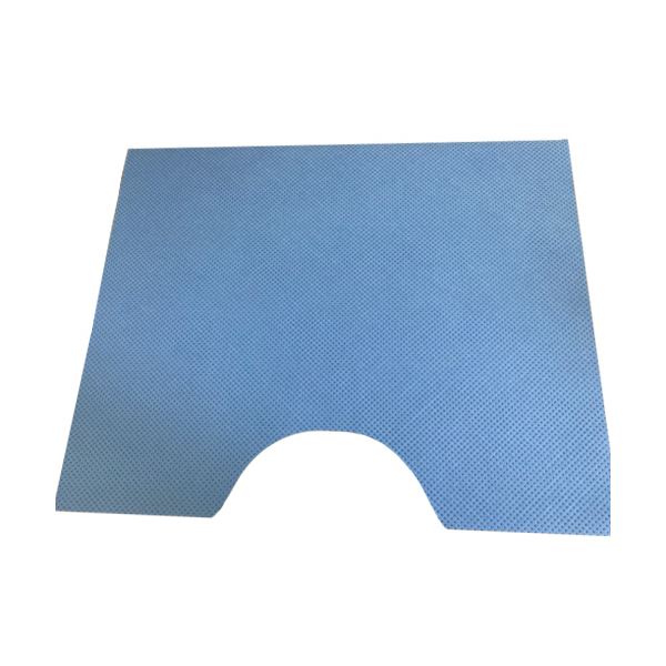 カネモ商事 使い捨てトイレマット約480×600mm 青 1ケース(100枚)[21]