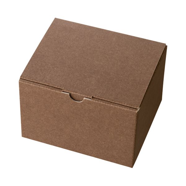 (まとめ) ヘッズ 無地ブラウンギフトボックス W163×D140×H110mm MBR-GB4 1パック(10枚) 【×5セット】[21]