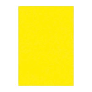 （まとめ） 文運堂 ニューカラーR 八ツ切 横271×縦392mm 8NCR-319 レモン 100枚入 【×2セット】[21]