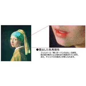 世界の名画シリーズ、プリハード複製画アンリ・ルソー作「ライオンの食事」【代引不可】