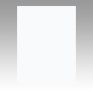 （まとめ） 文運堂 ニューカラーR 四ツ切 横392×縦542mm 4NCR-151 ゆき 100枚入 【×2セット】[21]