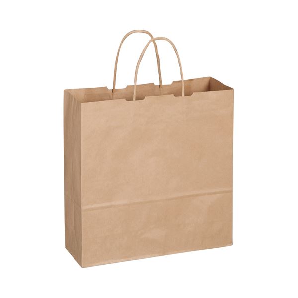 （まとめ） TANOSEE 紙手提袋 丸紐 中 ヨコ320×タテ320×マチ幅115mm 茶 1パック（50枚） 【×5セット】[21]