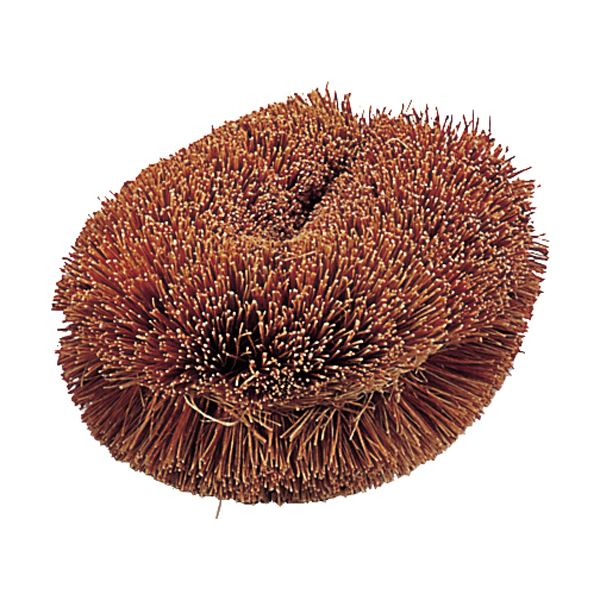 （まとめ）TRUSCOナチュラルブラシ「いがぐり君」 170mm TW-L 1個【×20セット】[21]