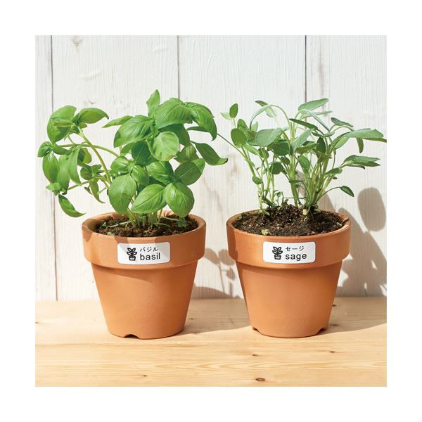 ナカバヤシ Nakabayashi　ドアノブプレートスタンド　在宅勤務・打ち合わせ中　DKPS-101-4