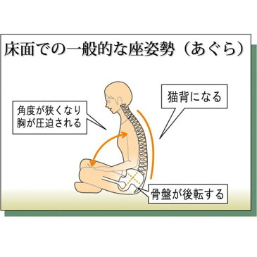 あぐら椅子/正座椅子 【モスグリーン×ブラック】 幅50cm 耐荷重80kg 日本製 スチール 『座ユー』 〔リビング〕【代引不可】