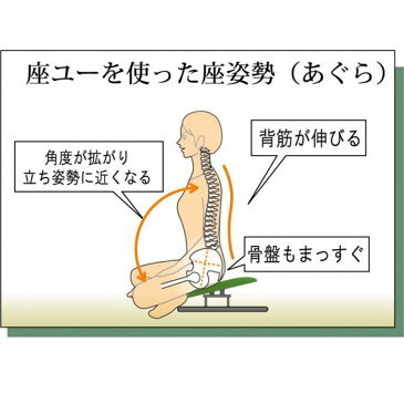 あぐら椅子/正座椅子 【モスグリーン×ブラック】 幅50cm 耐荷重80kg 日本製 スチール 『座ユー』 〔リビング〕【代引不可】