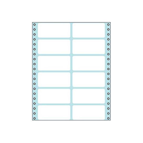 コクヨ 連続伝票用紙（タックフォーム）横8×縦10インチ（203.2×254.0mm）12片 ECL-216 1パック（100シート）[21]