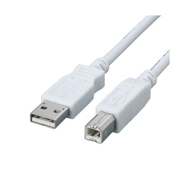 (܂Ƃ) GRtFCgRAUSB2.0ΉP[u (A)IX-(B)IX zCg 0.5m USB2-FS051{ y~10Zbgz[21]