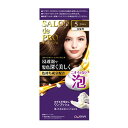 ダリヤ サロンドプロ 泡のヘアカラー エクストラリッチ白髪用5ブラウン 100g
