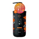 クラシエ いち髪 濃密W保湿ケア コンディショナー ポンプ480g