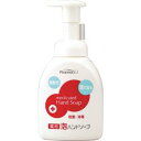 熊野油脂 ファーマアクト 弱酸性薬用 泡ハンドソープ250ml