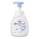 花王 ビオレU 泡ハンドソープ 大容量ポンプ 500ml(4)