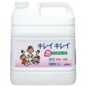 ライオン キレイキレイ 薬用泡ハンドソープ 4L 業務用