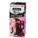花王 ブローネ 泡カラー 3B ボルドーブラウン108ml
