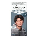 マンダム ルシード デザインヘアカラー クールアッシュ 2A メンズ用 白髪染め1組