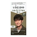マンダム ルシード デザインヘアカラー マットアッシュ 2M メンズ用 白髪染め1組