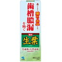 小林製薬 薬用ハミガキ生葉 100g