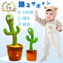 リトミックスカーフ シフォンスカーフ シフォン スカーフ 6色 大判 140×220cm リトミック モンテッソーリ 知育玩具 子ども おもちゃ 室内 おうち 遊び ダンス リズム 運動 カラフル 手品 高齢者 リトミックダンススカーフ 運動会