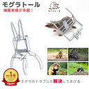 モグラ捕獲 モグラ退治 モグラ撃退 モグラ取り モグラトール モグラ捕獲用クリップ もぐら撃退 撲滅に もぐら 退治 もぐらよけ 撃退器