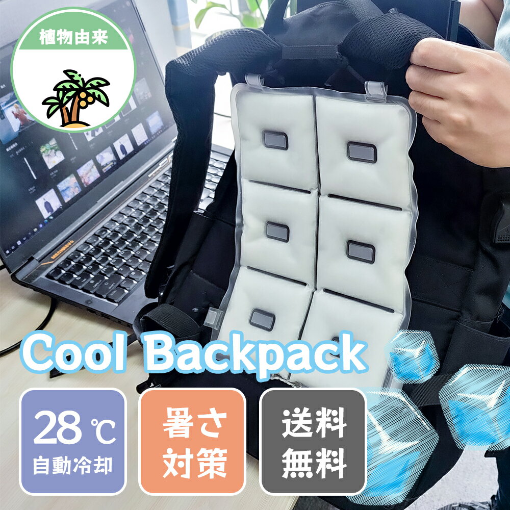 クール リュック アイスクールリュック 背中用 クール パッド 保冷剤 冷感 冷却 熱中症対策 冷却して繰返し使えるバックパック クールリュックのサムネイル
