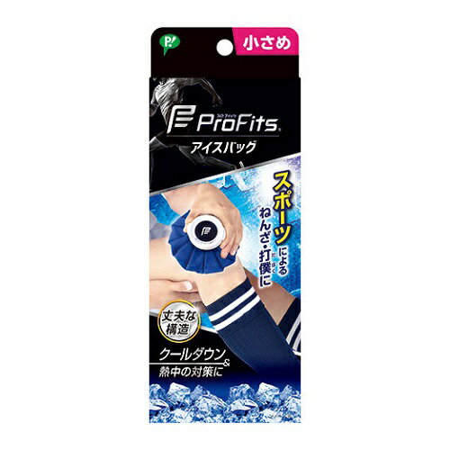 [ピップ]プロ・フィッツ アイスバッグ 小さめ 1個