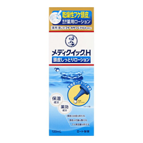 [ロート製薬]メディクイックH 頭皮しっとりローション 120ml