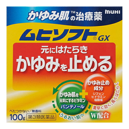 【第3類医薬品】【セ税】[池田模範堂]ムヒソフトGX 100g
