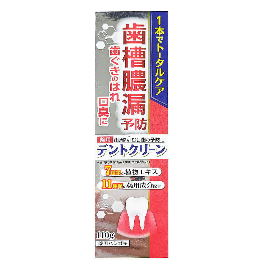 デントクリーン 110g
