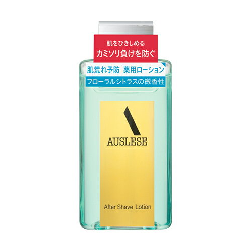 [資生堂]アウスレーゼ アフターシェーブローション NA 110ml
