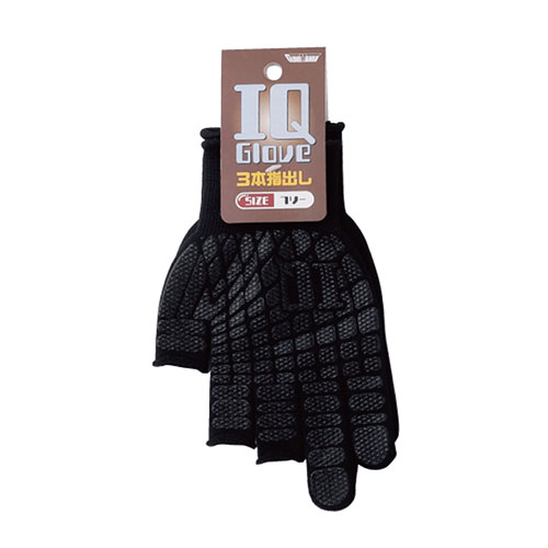 ɥåȥΤ㤨[]IQ 3ܻؤפβǤʤ300ߤˤʤޤ