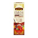 KOMBUCHA DORINK(Ru`hN) 720ml