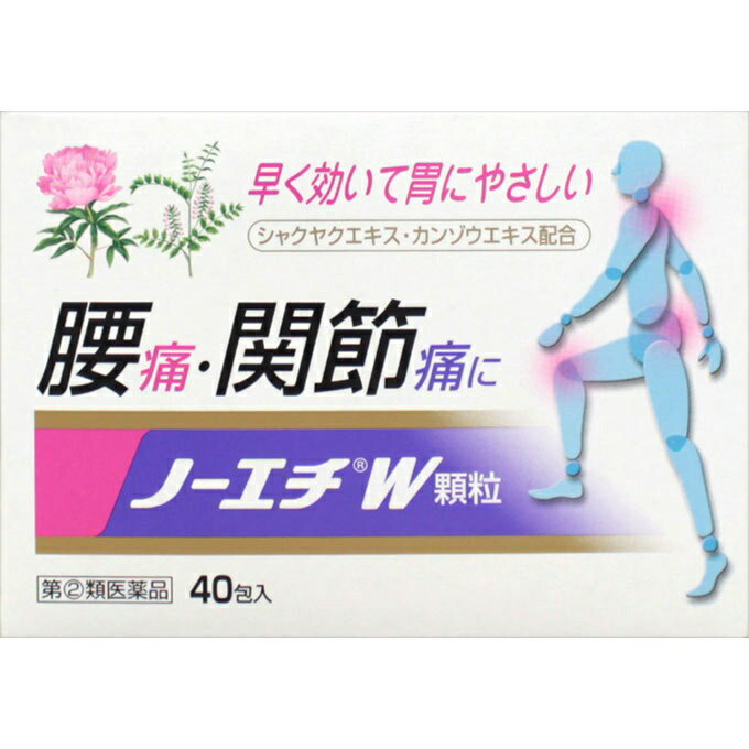 【第(2)類医薬品】【セ税】[ノーエチ薬品]ノーエチW 40包 【おひとり様1個まで】