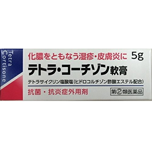 【第 2 類医薬品】[伊丹製薬]テトラコーチゾン軟膏 5g