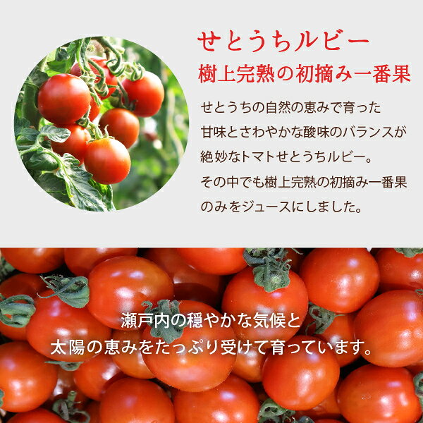 ドラッグストアザグザグ通販の■産地直送■Premium 完熟 濃厚 トマト果汁 100% 桐箱入 720ml北海道・沖縄への配送不可同梱不可キャンセル不可｜アングル3