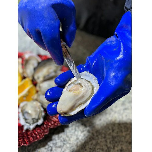 ドラッグストアザグザグ通販の■産地直送■冷凍・生食用Emperor Oyster(エンペラー オイスター) Sサイズ 24粒入北海道・沖縄への配送不可同梱不可キャンセル不可｜アングル2