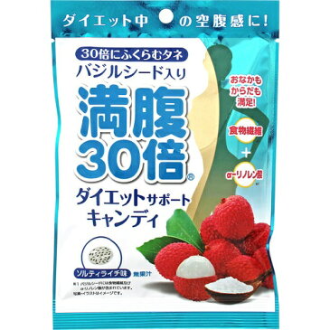 満腹30倍ダイエットキャンディ ソルティライチ 42g