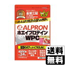 ALPRON(アルプロン) ホエイプロテイン WPC ストロベリー風味 900g