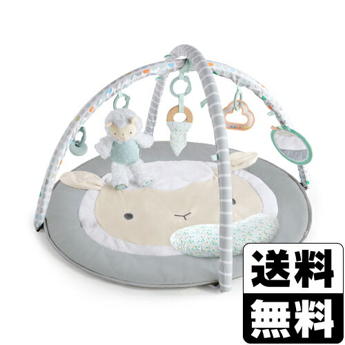 ingenuity(インジェニュイティ) シープ スポット アクティビティジム (12470) ingenuity(インジェニュイティ) シープ スポット アクティビティジム (12470)