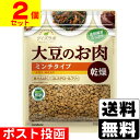 ダイズラボ 大豆のお肉 乾燥 ミンチタイプ 100g 10袋