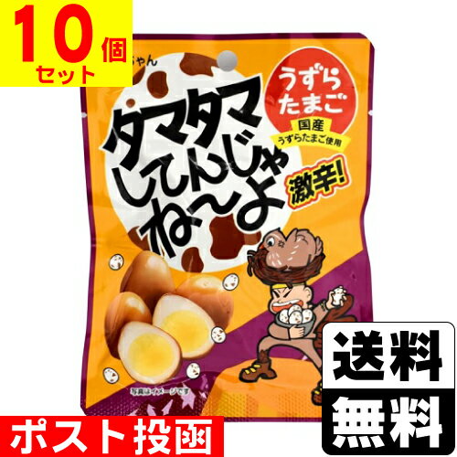 ■ポスト投函■[よっちゃん食品]タマタマしてんじゃねーよ 26g【10個セット】