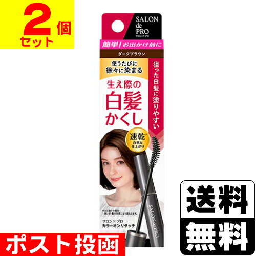 ■ポスト投函■[ダリヤ]サロンドプロ カラーオンリタッチ 白髪かくしEX ダークブラウン 15ml【2個セット】のサムネイル