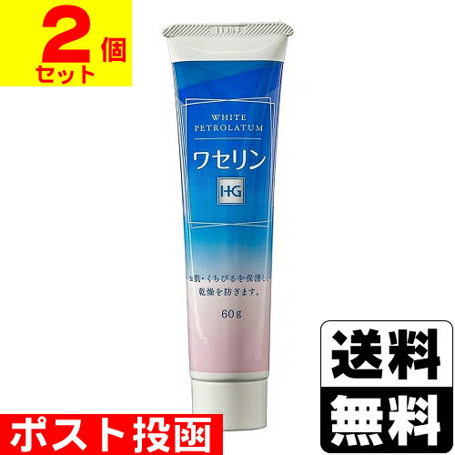 ■ポスト投函■[大洋製薬]ワセリンHG チューブ 60g【2個セット】