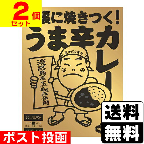 ■ポスト投函■脳裏に焼きつく!うま辛カレー 160g【2個セット】