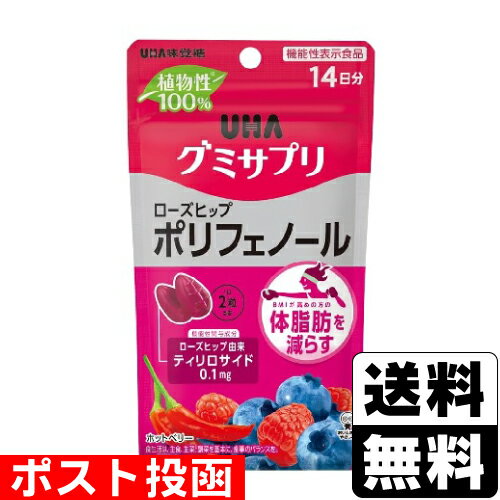 ■ポスト投函■[UHA味覚糖]グミサプリ ローズヒップ ポリフェノール 14日分のサムネイル