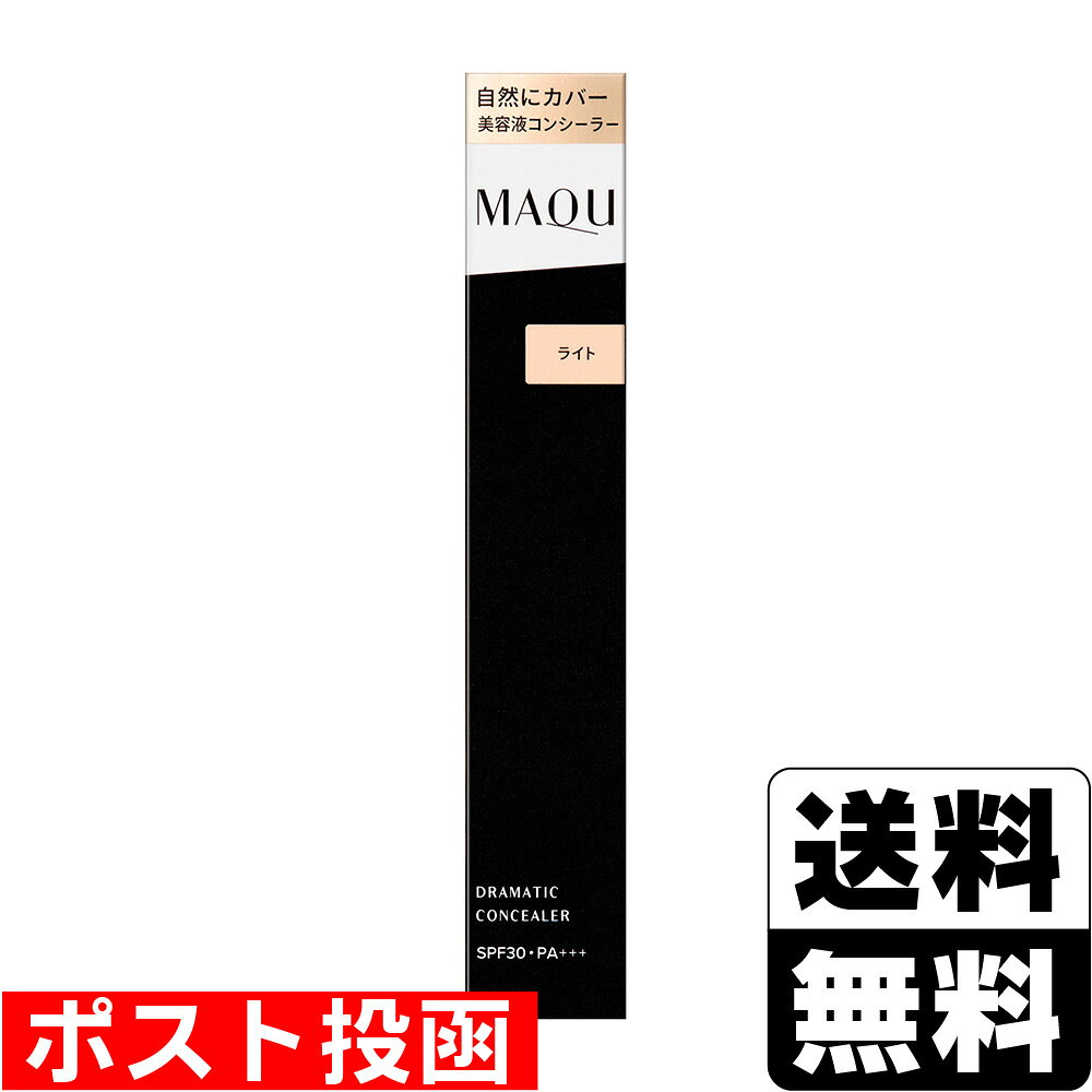 ■ポスト投函■[資生堂]マキアージュ ドラマティックコンシーラー ライト 8g