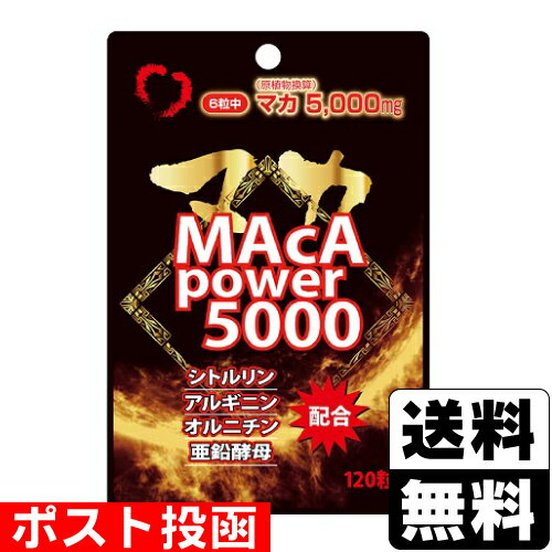 ݥȡ[楦]ɥѥå ޥѥ5000 (120γ)