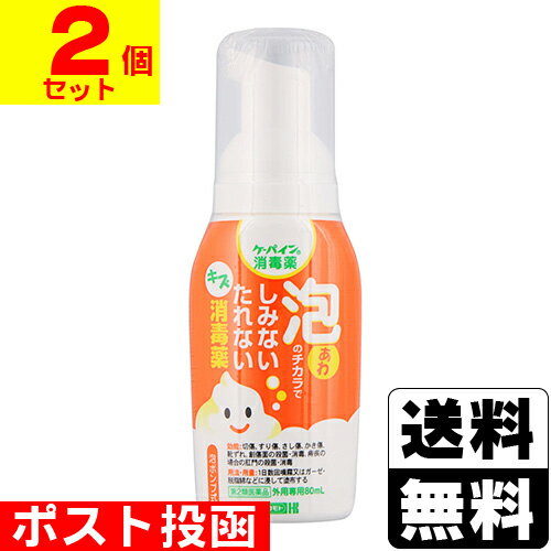 【第2類医薬品】■ポスト投函■ケーパイン 消毒薬 泡タイプ 80mL【2個セット】