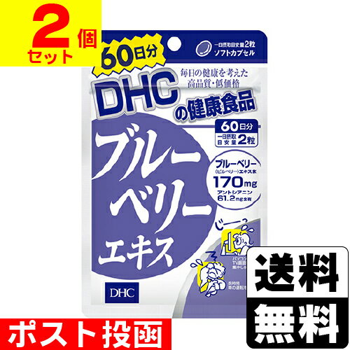 ■ポスト投函■[DHC]ブルーベリーエキス 120粒 60日分【2個セット】