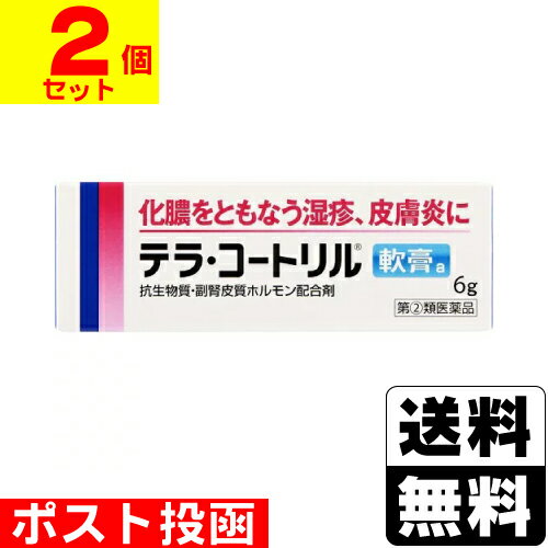 【第(2)類医薬品】■ポスト投函■テラ コートリル軟膏a 6g【2個セット】