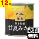 にっぽんの果実 熊本県産 甘夏みかん 185g【12個セット】